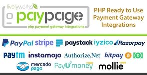 PayPage V130  Hazir Odeme Script Indir